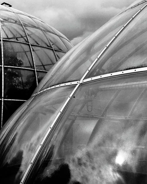 Close-up of two curved glass and metal greenhouse domes under a cloudy sky.