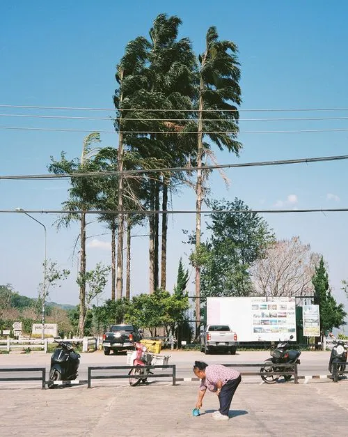 Person bending down on pavement near scooters and parked cars with tall palm trees and clear blue sky in the background.