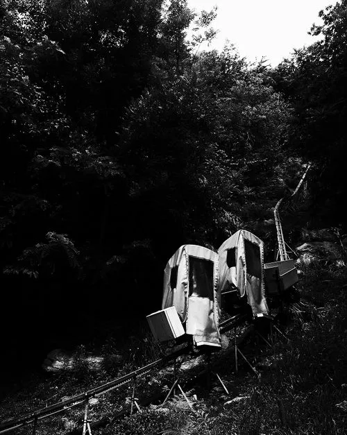Two small covered rail cars on a narrow track ascending through a forested hillside.