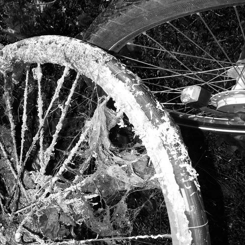 Close-up of a bike wheel heavily covered in spider webs and debris, with another tire visible in the background.