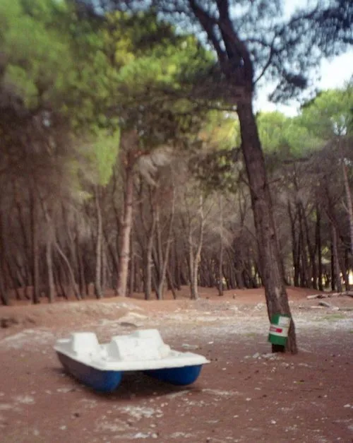White and blue pedal boat resting on dry ground in a wooded area with tall pine trees.
