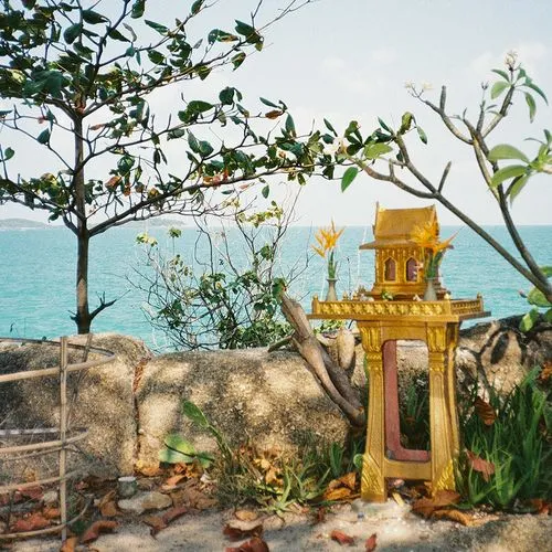 Small golden spirit house shrine on ground near rocks with green plants and ocean in the background.